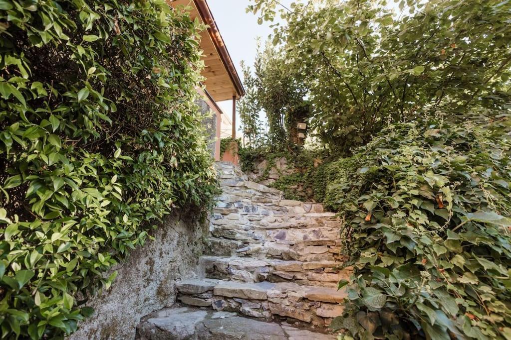 Casa Zaffe - Relax Ligure Nel Cuore Di Sturla Casa vacanze Genova